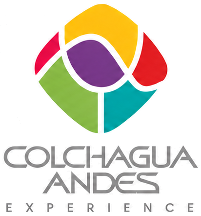Colchagua Andes Experience